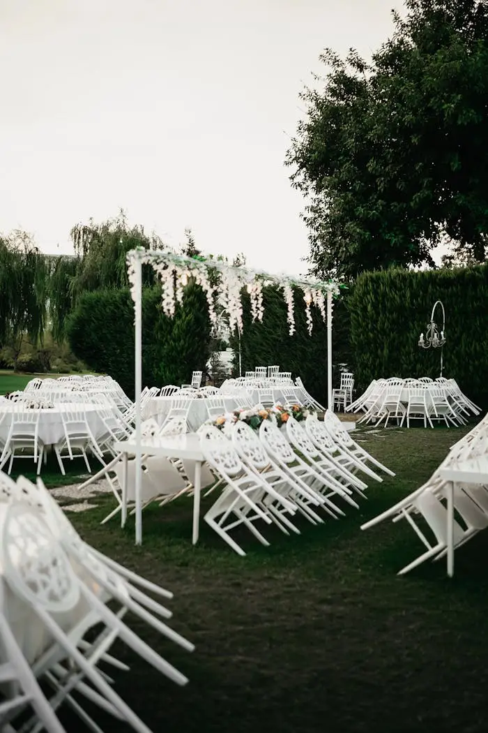 pexels photo 32859443.jpeg